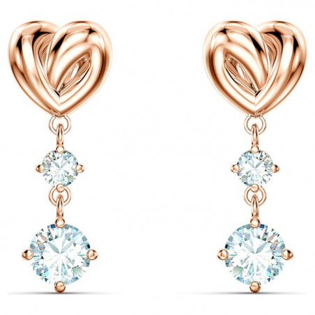 Mountain fox - Vector graphics